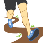 Third Phase in an ACL Tear