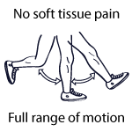 Fifth Phase in an ACL Tear